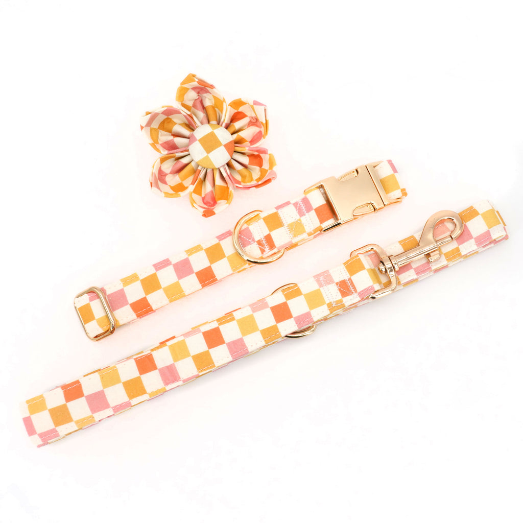 Creamsicle Collar, Leash, and Flower
