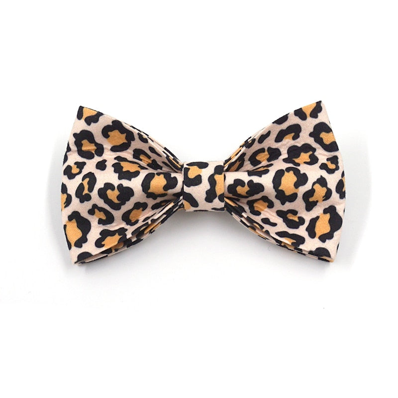 Leaping Leopard Collar, Bow/Bowtie, Leash, Harness, and Waste Bag Holder