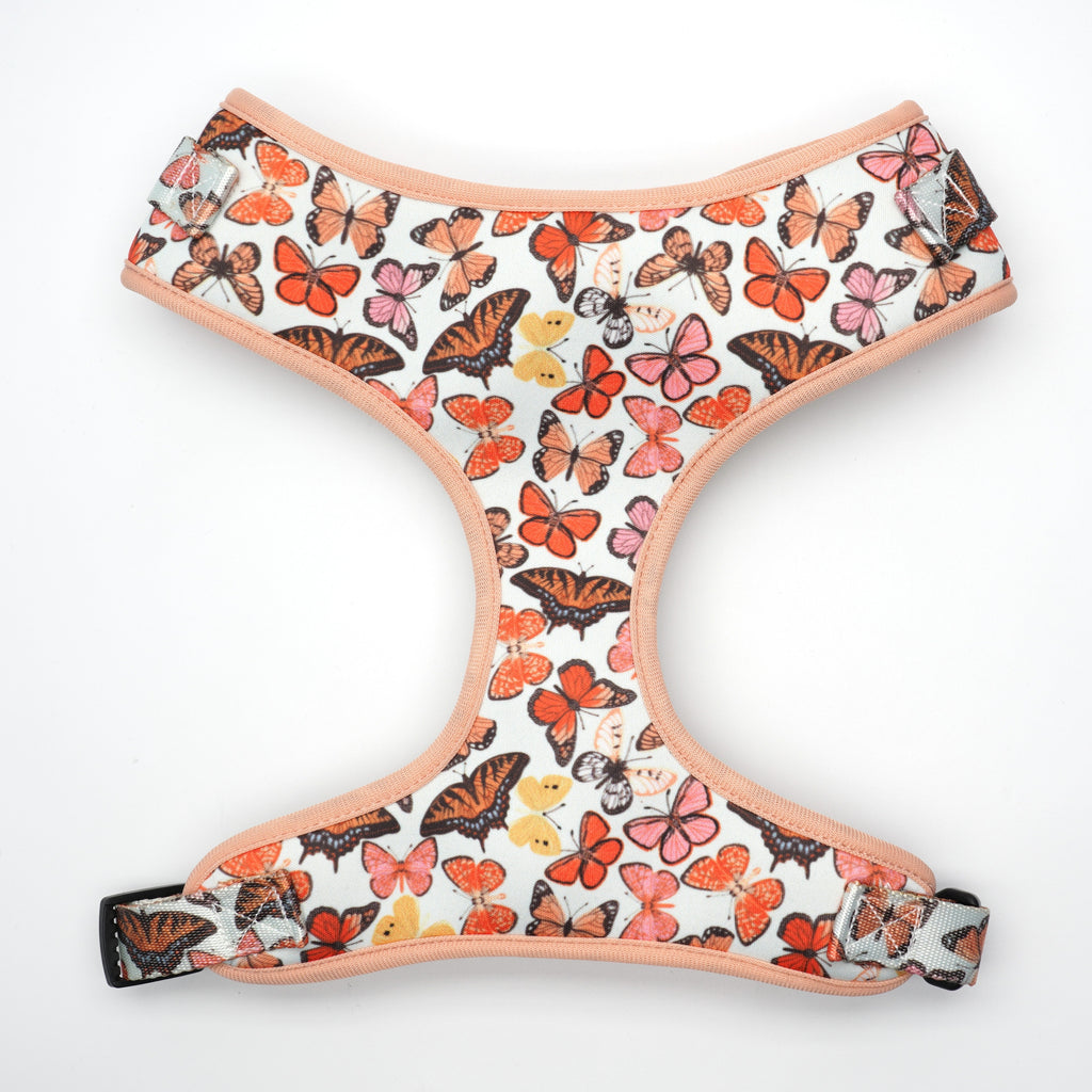 Mariposa Collar, Harness, Leash, Bow, Flower, Bandana, and Waste Bag Holder