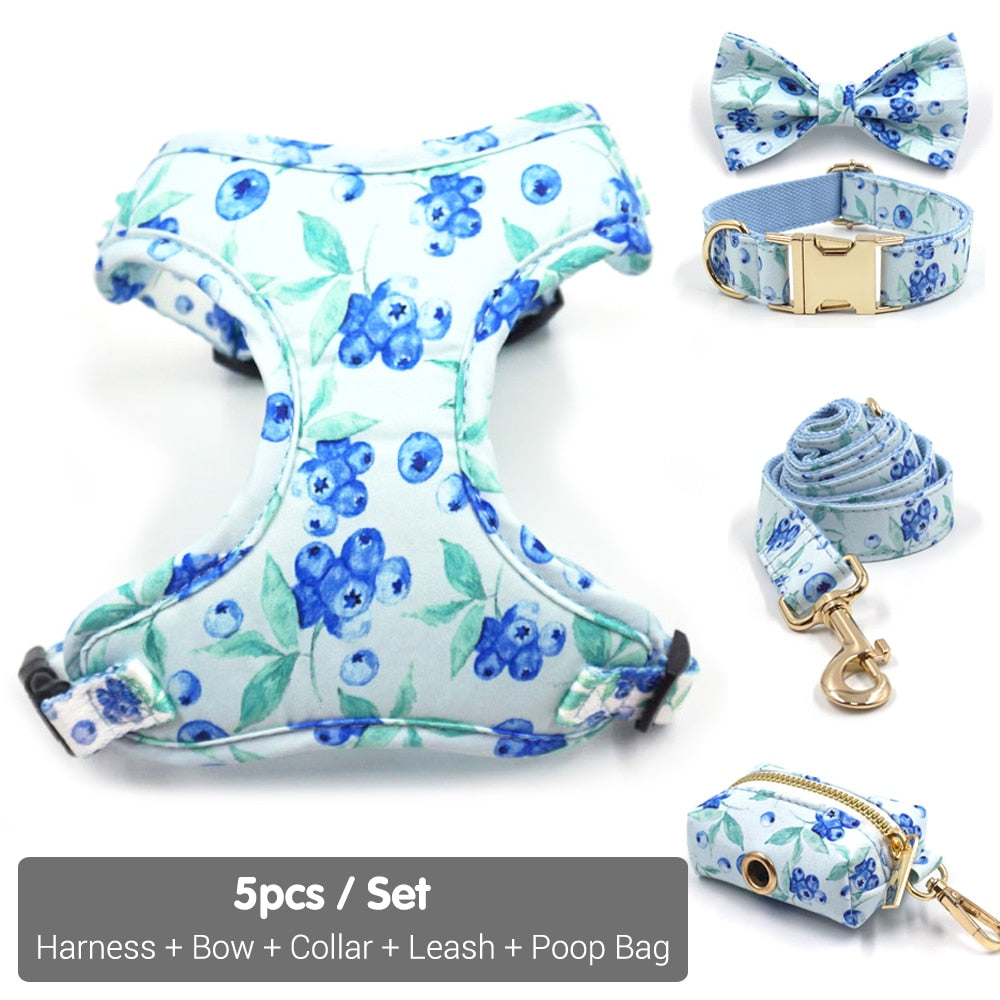 Bella Blueberry Collar, Harness, Leash, Bow, and Waste Bag Holder