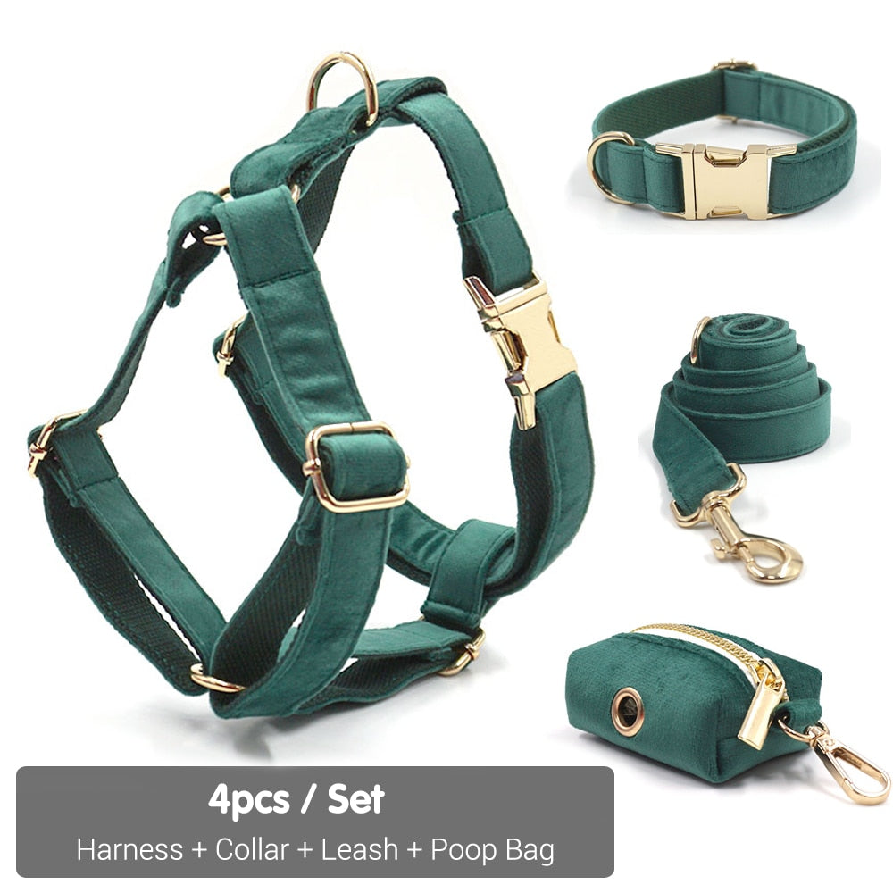 Kelly Green Velvet Collar, Harness, Bow/Bowtie, Leash, and Waste Bag Holder