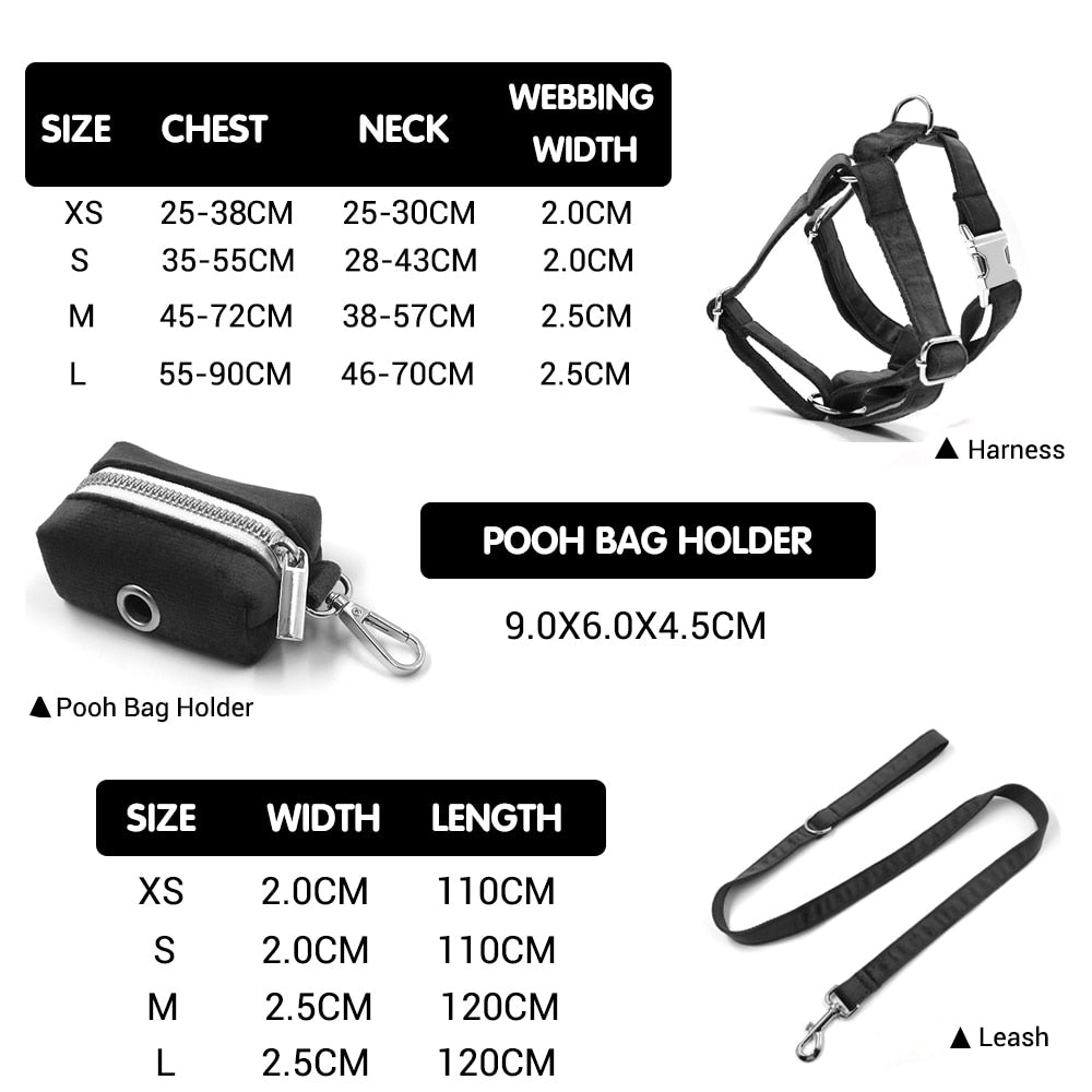 Leaping Leopard Collar, Bow/Bowtie, Leash, Harness, and Waste Bag Holder