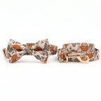 Billy Boho Collar, Bow/Bowtie, and Leash