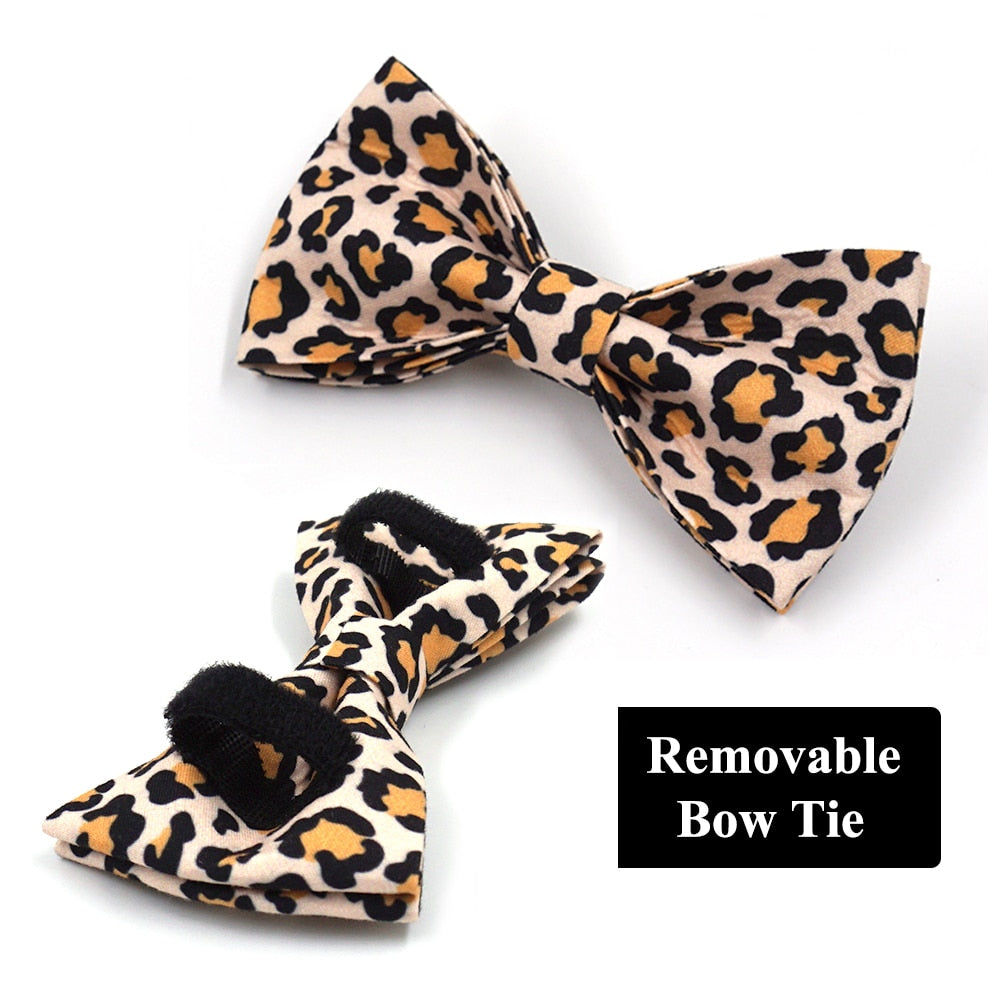Leaping Leopard Collar, Bow/Bowtie, Leash, Harness, and Waste Bag Holder