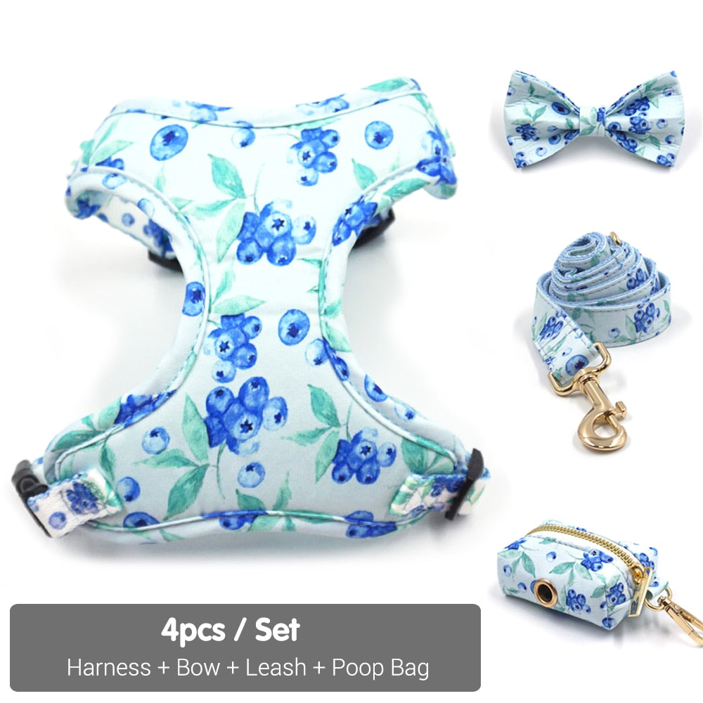 Bella Blueberry Collar, Harness, Leash, Bow, and Waste Bag Holder