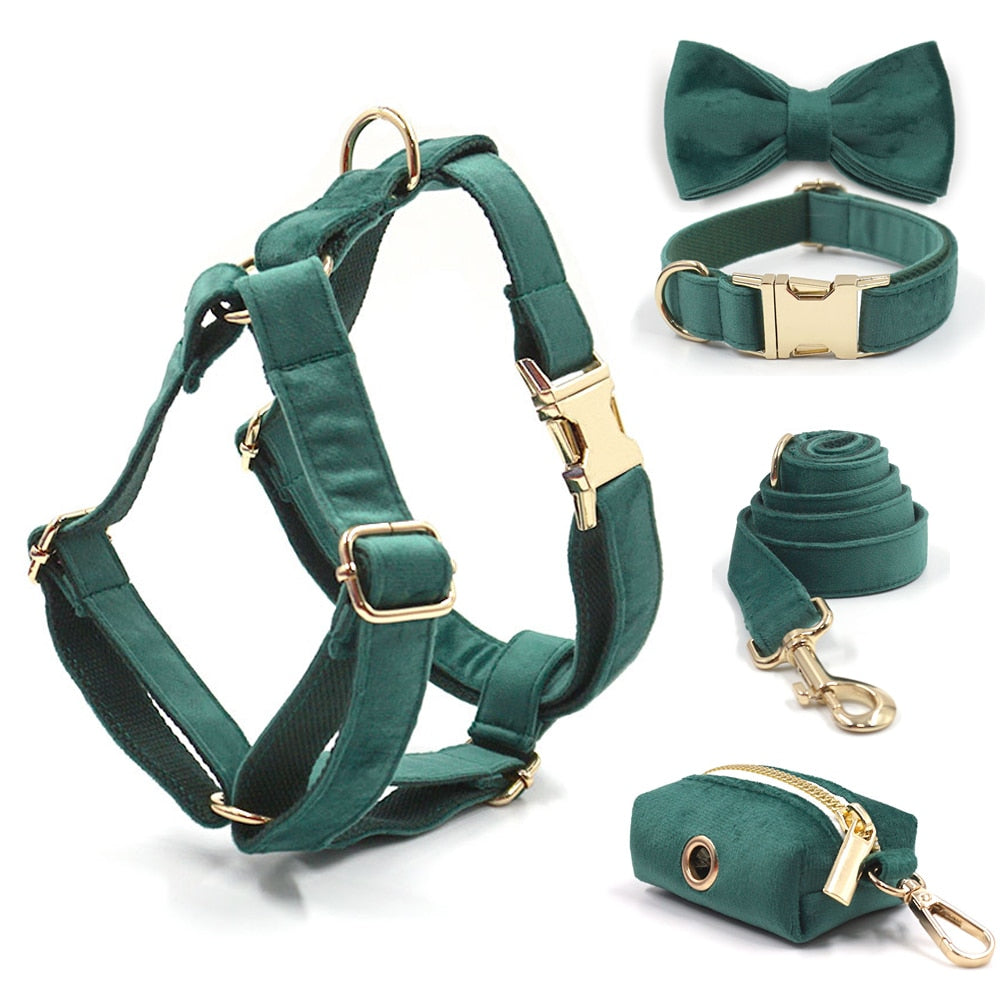 Kelly Green Velvet Collar, Harness, Bow/Bowtie, Leash, and Waste Bag Holder