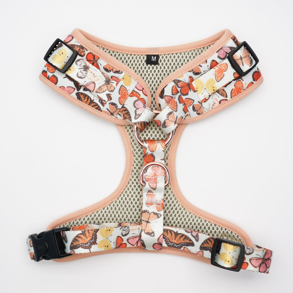 Mariposa Collar, Harness, Leash, Bow, Flower, Bandana, and Waste Bag Holder