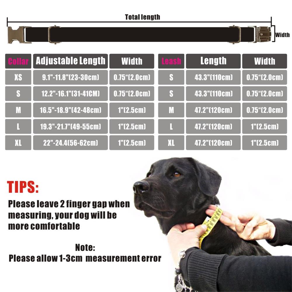 Dino-Mite Collar and Leash