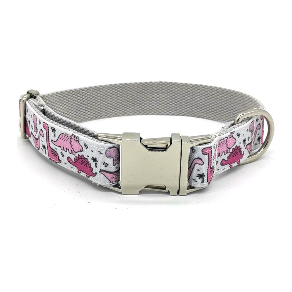 Dino-Mite Collar and Leash