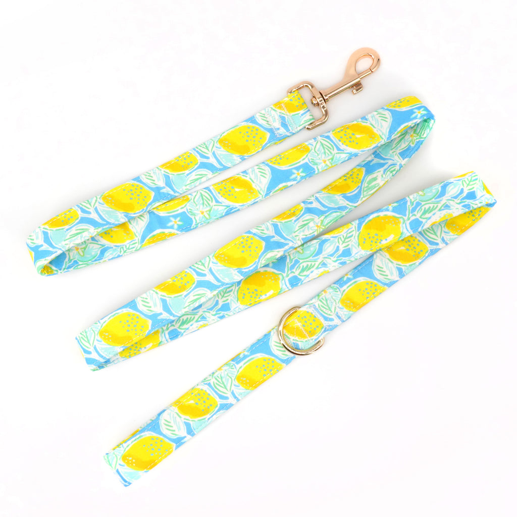 Zingy Lemon Collar, Bow/Bowtie, and Leash