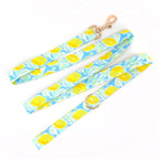 Zingy Lemon Collar, Bow/Bowtie, and Leash