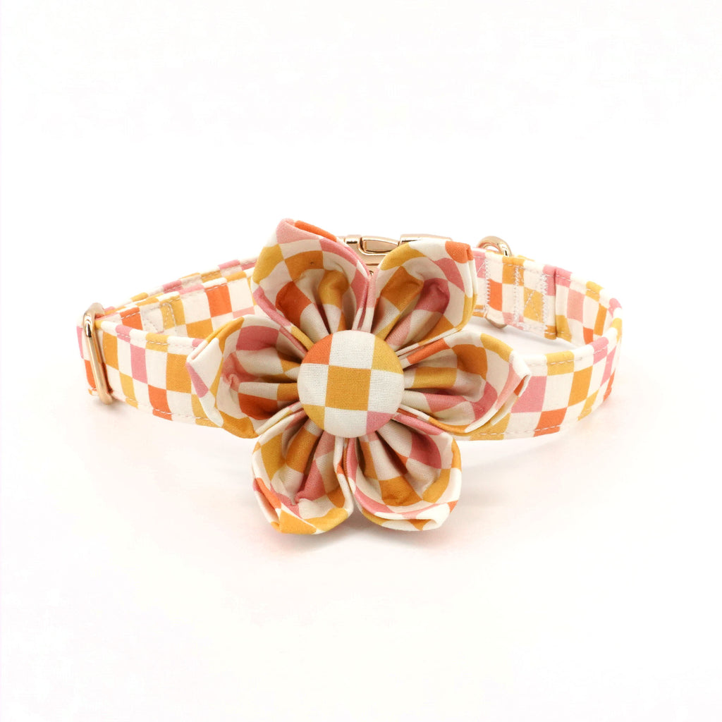 Creamsicle Collar, Leash, and Flower