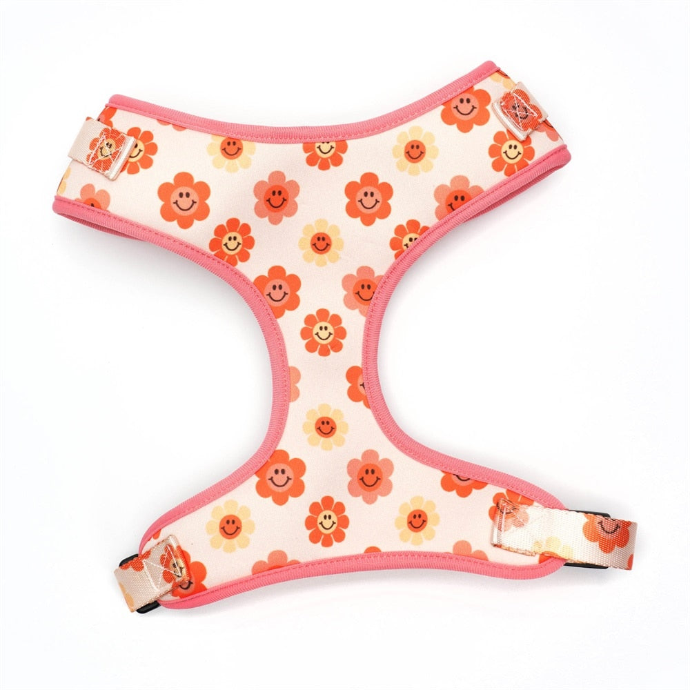 Happy Flower Collar, Leash, and Harness