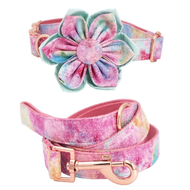 Color Dream Collar, Flower, and Leash