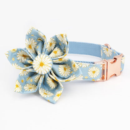 Gloriosa Collar, Flower, and Leash