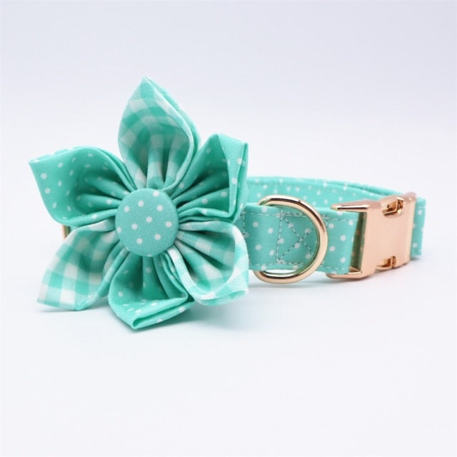 Dipsi Collar, Leash, Bow, Flower