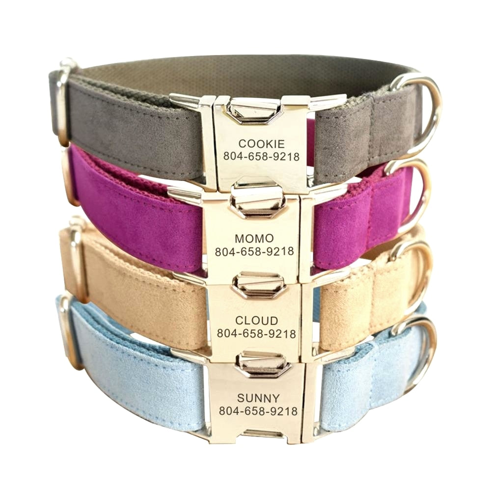 Personalized Velvet Collar and Leash