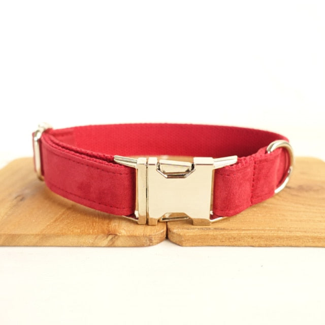 Personalized Velvet Collar and Leash