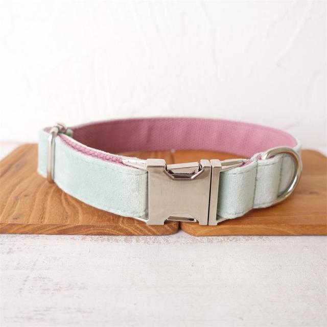 Personalized Velvet Collar and Leash