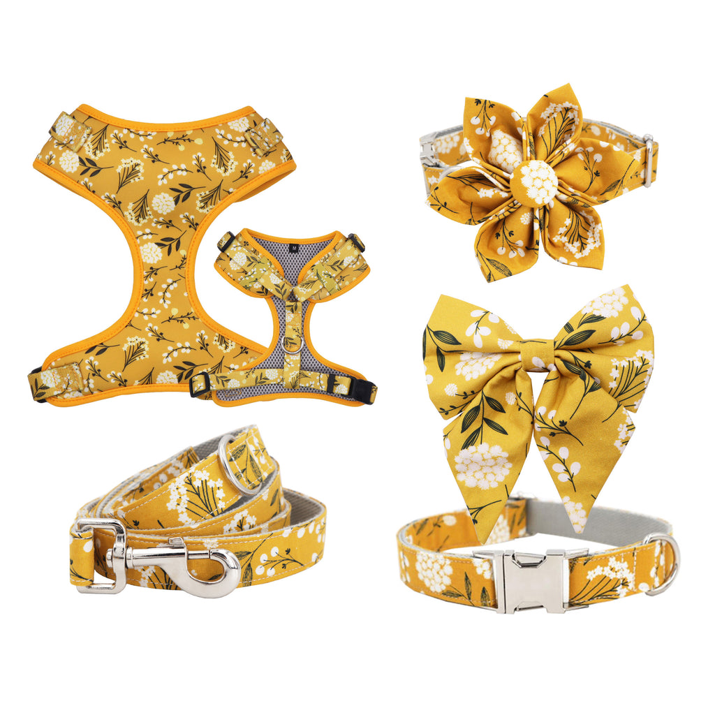 Pippy floral Collar, Bow, Leash, and Harness