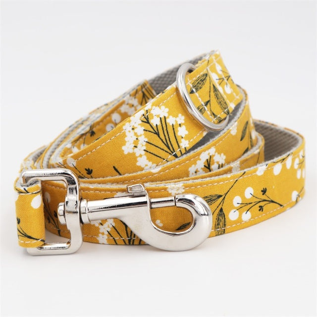 Pippy floral Collar, Bow, Leash, and Harness