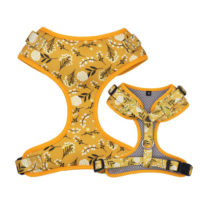 Pippy floral Collar, Bow, Leash, and Harness