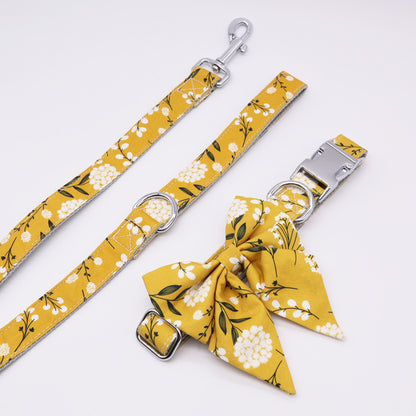 Pippy floral Collar, Bow, Leash, and Harness