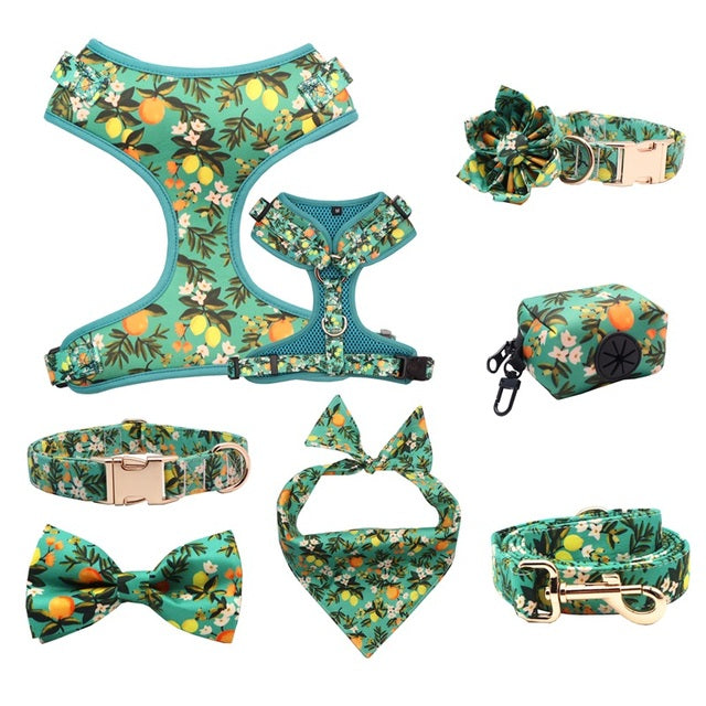 Main Squeeze Collar, flower, bow, leash, waste bag holder, and Bandana