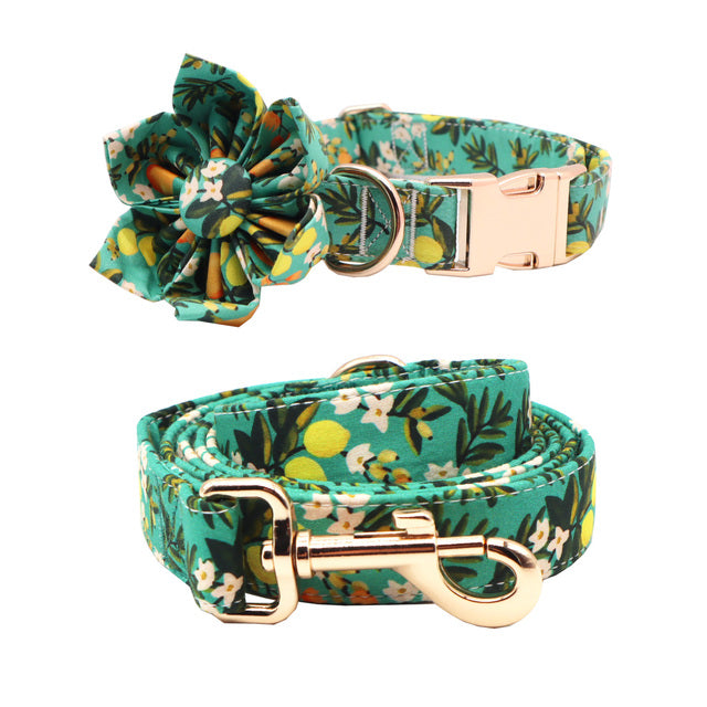Main Squeeze Collar, flower, bow, leash, waste bag holder, and Bandana