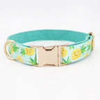 Lookin Pine! Collar, Leash, and Bow/Bowtie