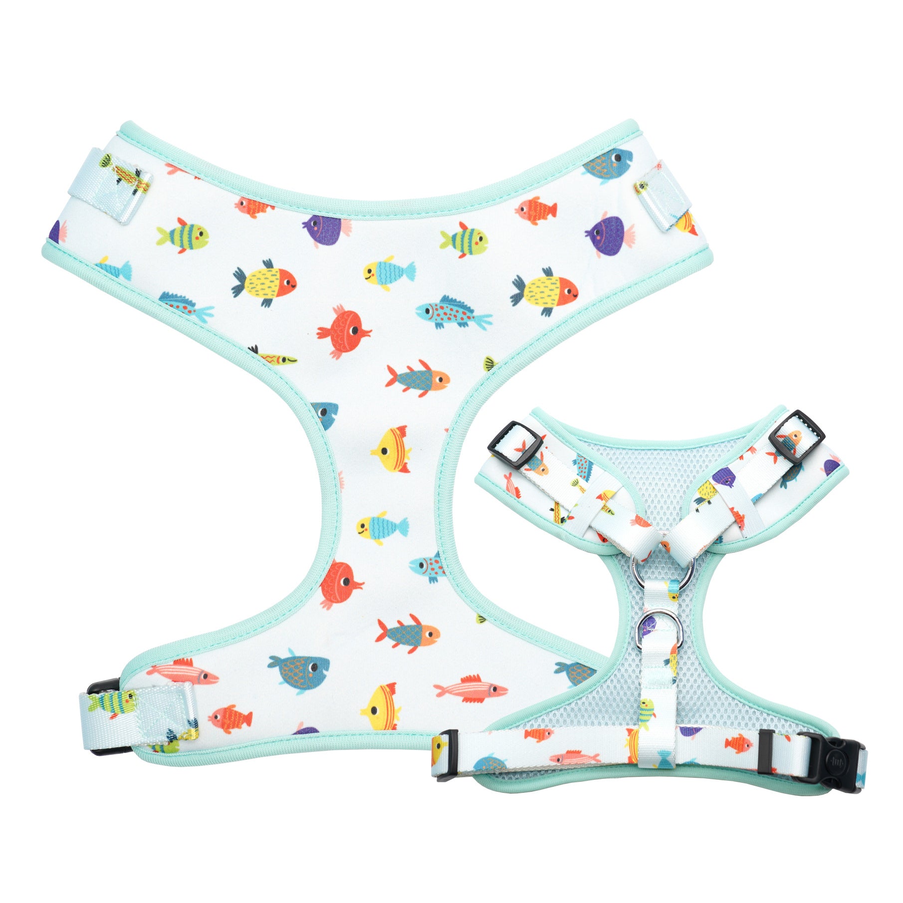 Nessie Harness, Collar, Bow/Bowtie, and leash