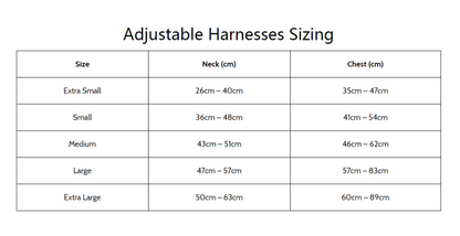 Nessie Harness, Collar, Bow/Bowtie, and leash