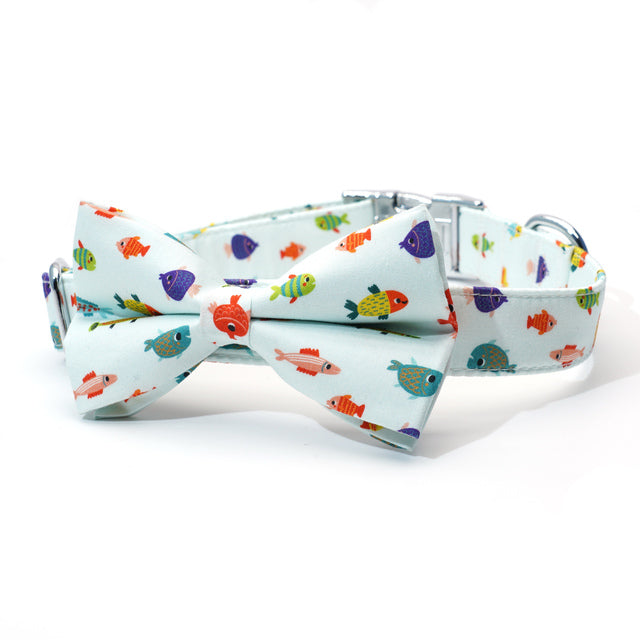 Nessie Harness, Collar, Bow/Bowtie, and leash