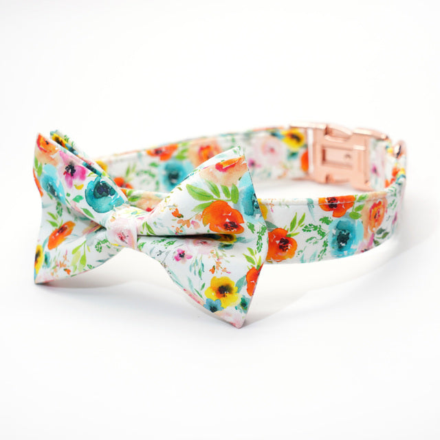 Sienna Watercolor Collar, Bow, Flower, Bandana, and Leash