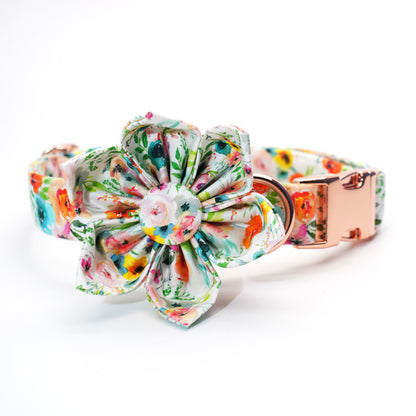 Sienna Watercolor Collar, Bow, Flower, Bandana, and Leash