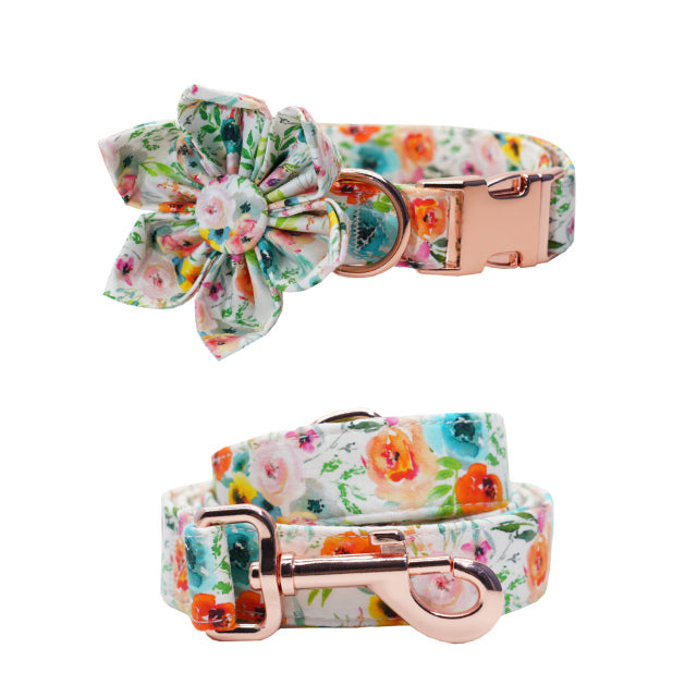 Sienna Watercolor Collar, Bow, Flower, Bandana, and Leash