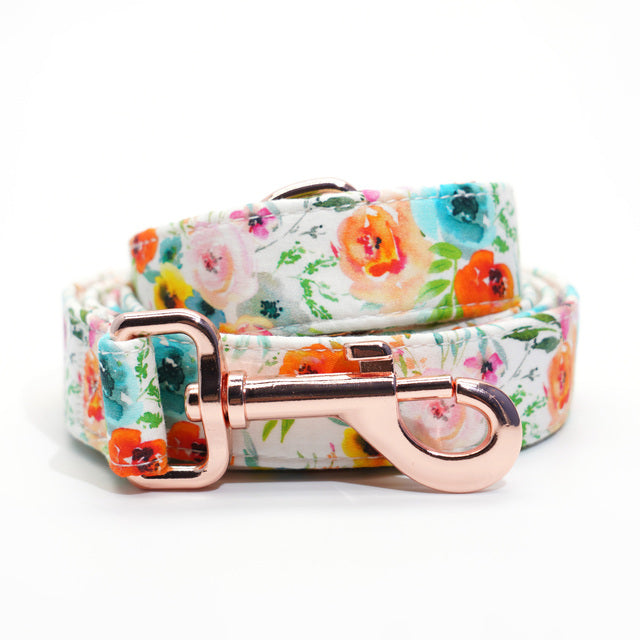 Sienna Watercolor Collar, Bow, Flower, Bandana, and Leash