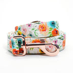 Sienna Watercolor Collar, Bow, Flower, Bandana, and Leash