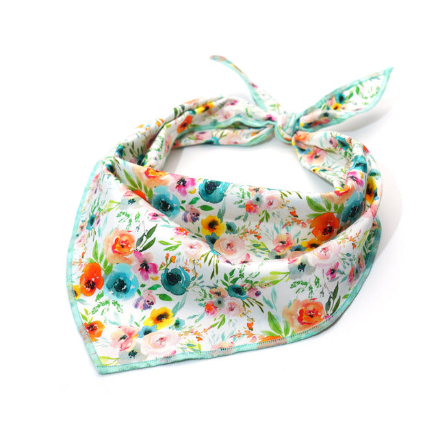 Sienna Watercolor Collar, Bow, Flower, Bandana, and Leash