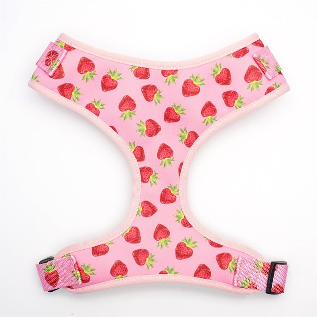 Berry-licious Collar, Leash, Bow, Flower, Bandana