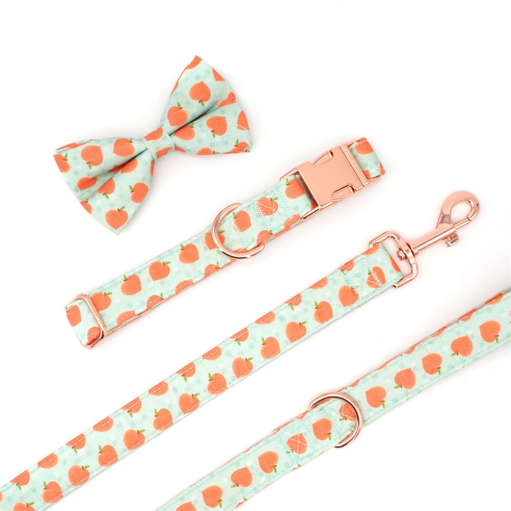 Just Peachy! Collar, Bow, and Leash