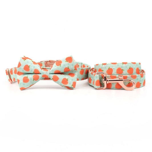 Just Peachy! Collar, Bow, and Leash
