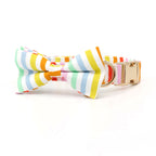 Summer Stripe Collar, Bow Tie, and Leash