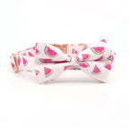 Delicious Watermelon Collar, Bow Tie, and Leash